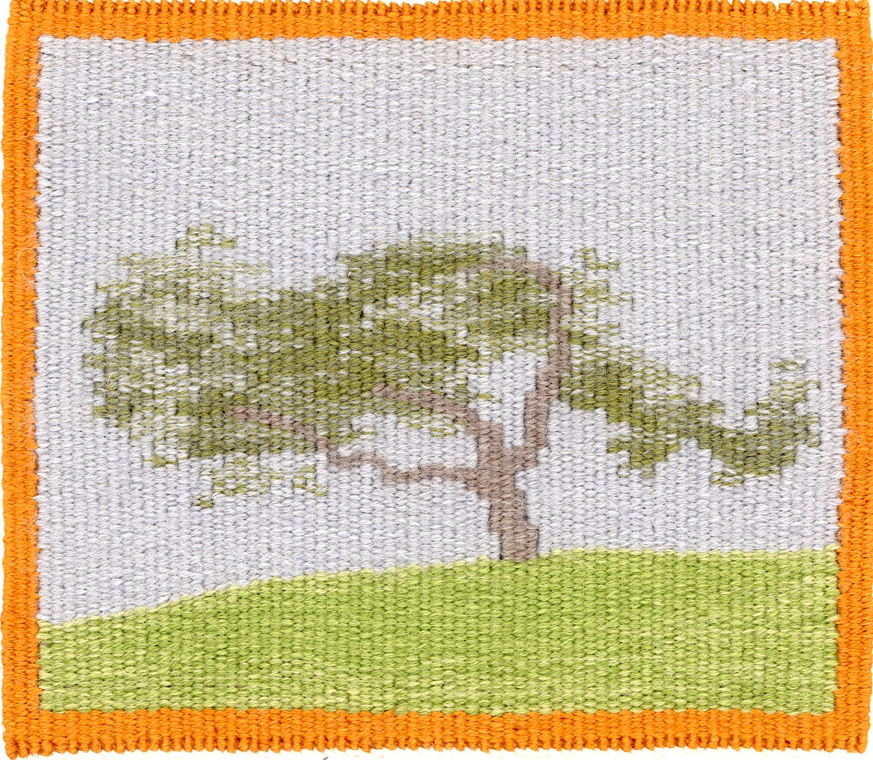 Scraggly Gumtree 2